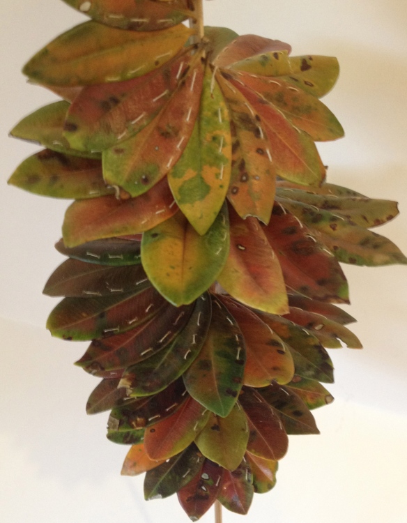A spiral of pohutukawa leaves. Wendy @ Late Start Studio